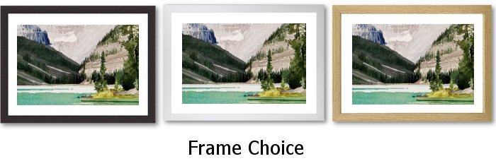 Frame Choice Frame Choice
